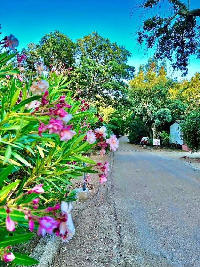 Camping Les Ilots D'Or Porto-Vecchio  Exteriér fotografie