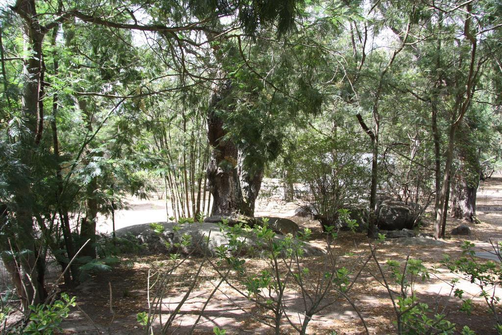 Camping Les Ilots D'Or Porto-Vecchio  Exteriér fotografie